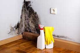 Trusted Laurel, MD Mold Remediation Experts